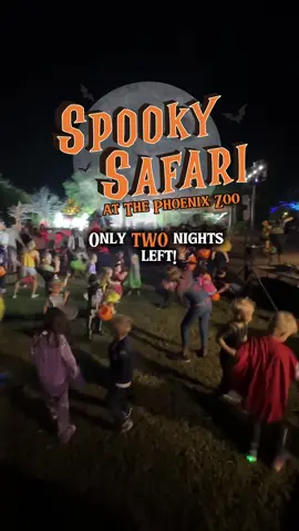 Only 2 nights left to experience Spooky Safari at @Phoenix Zoo  🕸️ Oct 23–24 | 5:30–8:30 PM 🍬 Trick-or-treat, 🎨 crafts, 🕺 costume parades, 🎲 games  & more!  🧛 Get your costumes ready, this fun Halloween adventure ends soon! 🕸️🐯 📍455 North Galvin Parkway, Phoenix, AZ 85008 #az #arizona #fun #kids #phoenix 