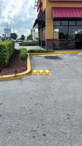 #popeyes #fyp #viral #v #humor 