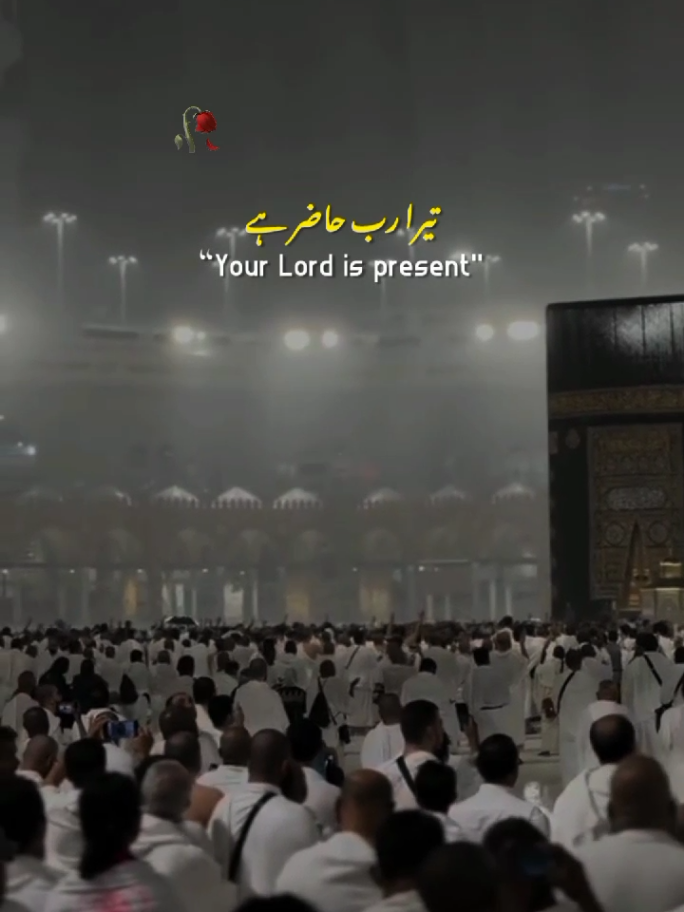 Allah Love 🌼🤲🏻 || Friday 💗 || Jummah Mubarak 🌙🕋 || Status Video ✨ #fyp #allahlove #friday #jummahmubarak  #statusvideo 