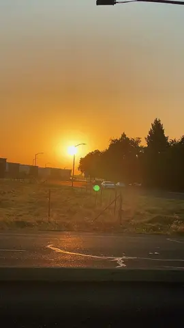 Good morning ☀️ #thankyouuniversefrommk❤️🙏 #succesfullmk🙏 #tiktokshop #viral #blessedmk🙏 