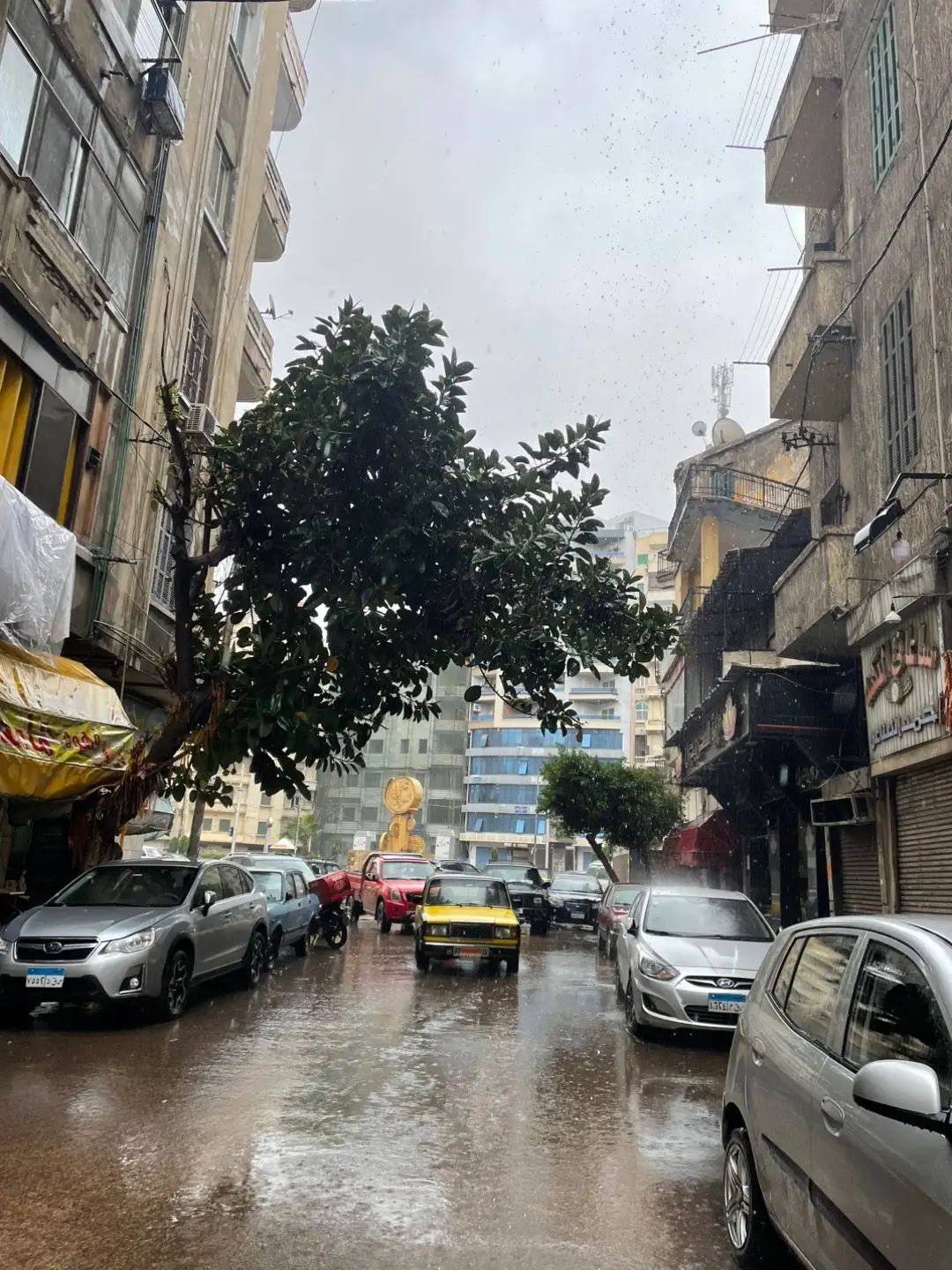#foryoupage #viral #egpyt #تصويري  #alexandria 