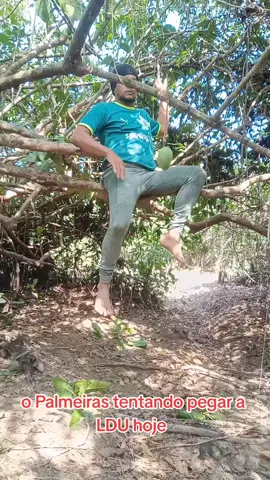 O time do Palmeiras hoje 😖#memestiktok #rindomuito #fyyyyyyyyyyyyyyyyyyyyyyyyyyyyyyyyyy #rindoate2050 #rindoalto 