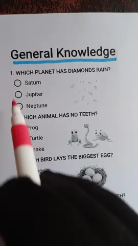 General Knowledge Quiz - Can you get 8/8? #quiz #quiztime #trivia #generalknowledge #LearnOnTikTok 