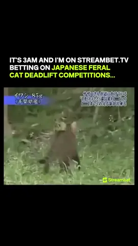 You can bet on just about whatever on @streambet.tv 🔗 Link in bio