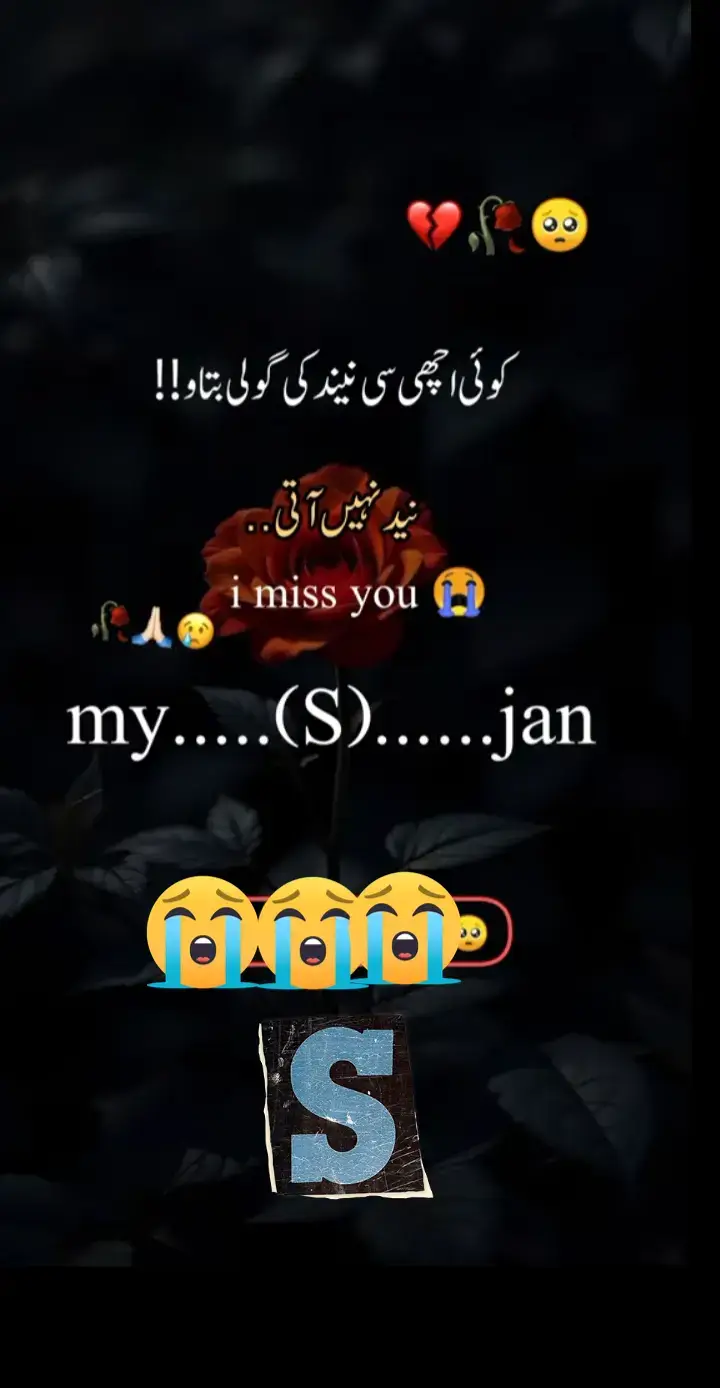 😭😭😭😭😭😭😭😭😭😭😭😭😭