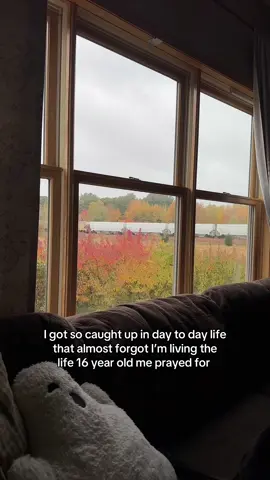 it all worked out #firsthome #falldecor 