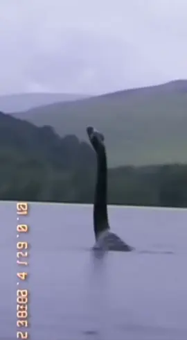 Loch Ness Monster Caught on Tape #fyp #viral #loucura #mystery #discovery 