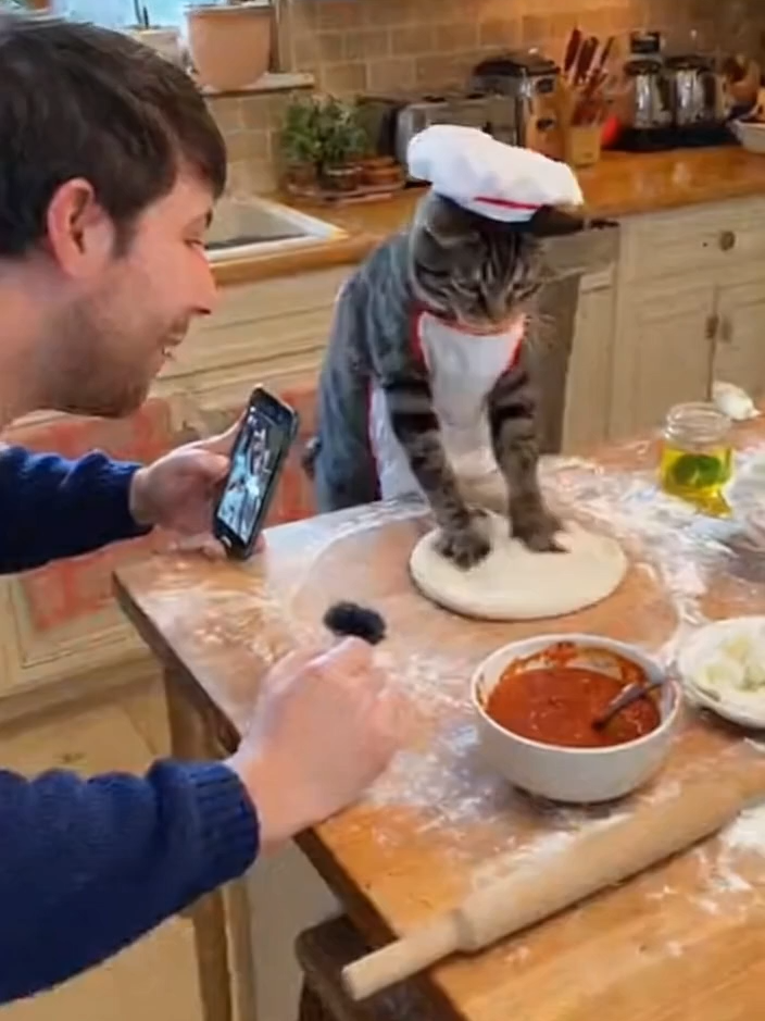 “Exclusive: Pizza Cat Loses His Cool During Live Cooking Demo 🍕😾” “Everything was going smoothly until the journalist asked about tuna toppings... 😬 Meet Giovanni the Pizza Cat, the internet’s new culinary icon — a chef who takes pizza very seriously. Watch as the interview turns into chaos when things get a little too ‘floury’. 🍕🐾 #PizzaCat #KitchenDisaster #CatChef” #PizzaCat, #CatChef, #CookingFail, #FunnyAnimals, #KitchenChaos, #FelineFury, #ViralCat, #AnimalInterview, #ComedyGold, #CaughtOnCamera, #AmateurFootage, #SmartphoneVideo, #FoodViral, #Mockumentary, #InternetLegend, #pizza, #naples, #napoli, #margherita, #cat, #cats, #catlover , #fyp, Note: AI generated content