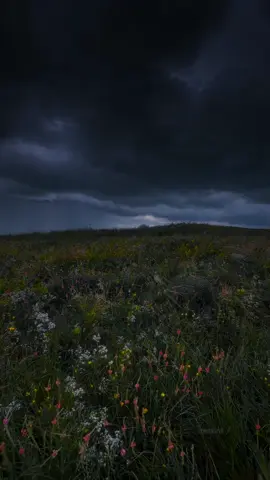 dark sky 🖤 #darkaesthetic 