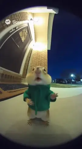 Top 10 respectable moments #viral #sora #alvinandthechipmunks #fyp #diddy 