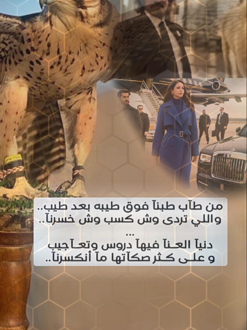 من طاب طبنا فوق طيبه بعد طيب .. #creatorsearchinsights 