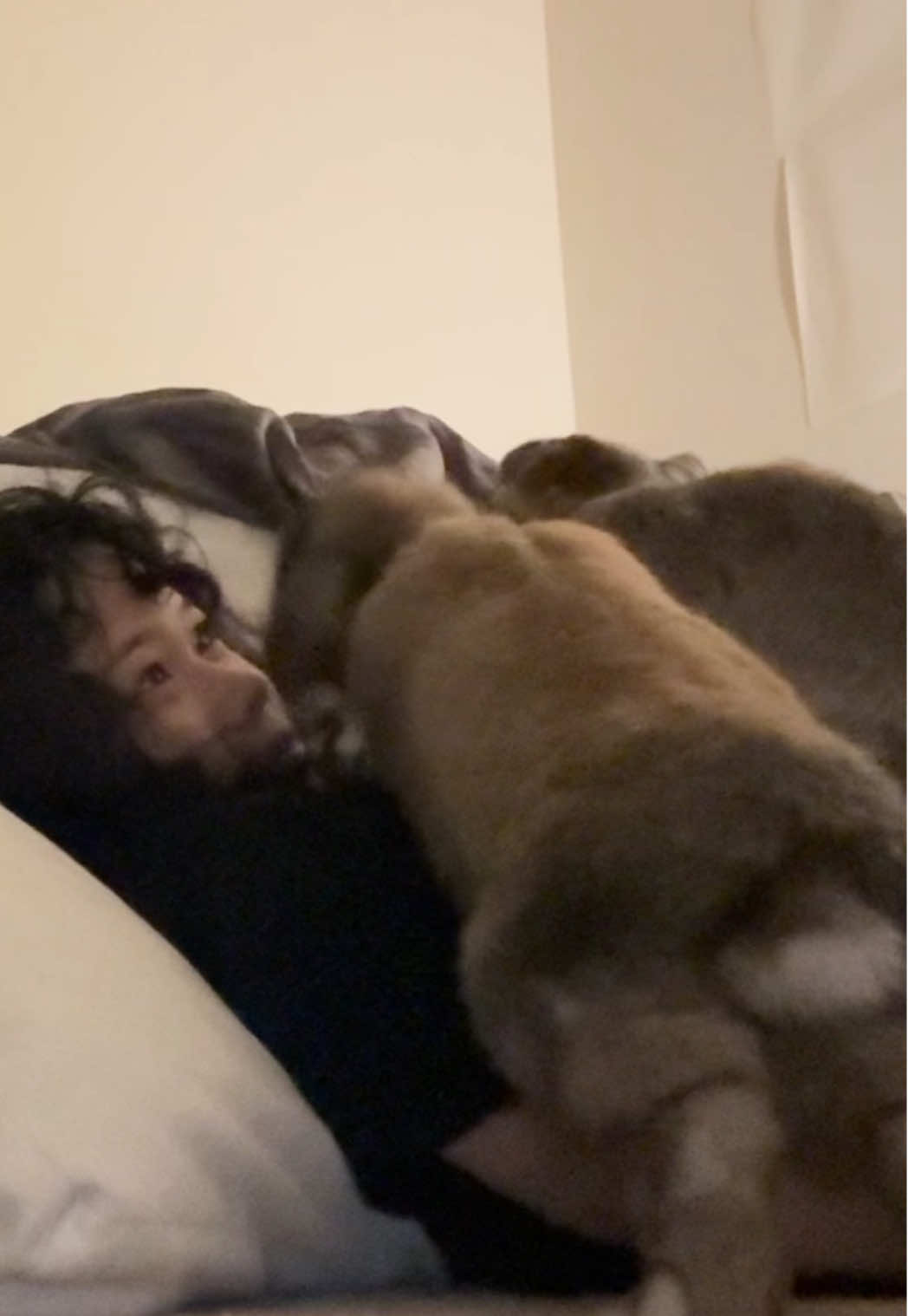 my babies #PetsOfTikTok #bunny 