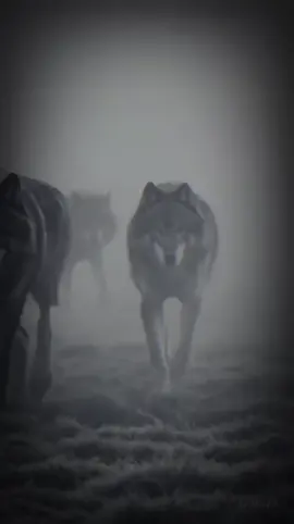 Hayırlı Cumalar🤲