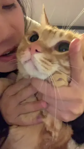 #cat
