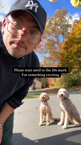 Hey besties! Can you help us out? 1. We are looking for an event space in central/northern CT for Saturday, December 13th. 2. We’re also looking for clothes donations newborn through young adult.  3. We are going live for Sprucewood Sundays this Sunday at 8/8:30pm (depending on when Julia Roberts goes down for her shnooze) with more details.  #foster #fostercare #community #connecticut #parents 