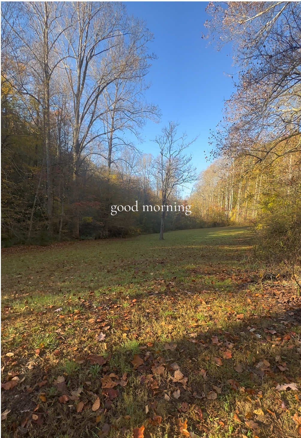 No better place than the mountains in the fall ♥️ #vanlife #traveldogs 