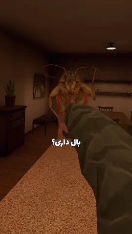 کاک روچ 🎈