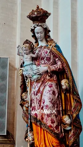 Ave Maria #avemaria #virginmary #motherofgod #holymary #stmary 