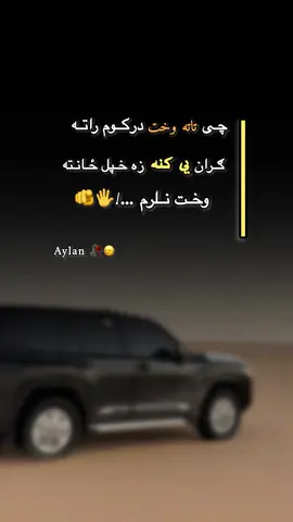 #foryou #fyp ورته شیر یی کړه ویډو ..!🖐️🙂🖤