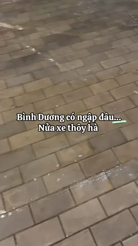 Ngập toàn diện #xuhuong #xuhuongtiktok 