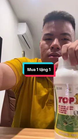 Mua 1 Top1 tặng 1 domino siêu loang trải