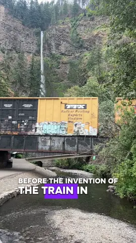 💫 the more you know 💫 Also, for any press secretaries that may be watching, THIS is how a “your mom” joke works.  Hope this helps! 