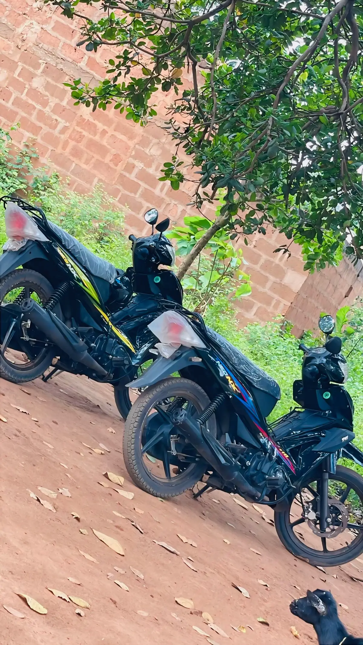 #bénin🇧🇯tiktok 