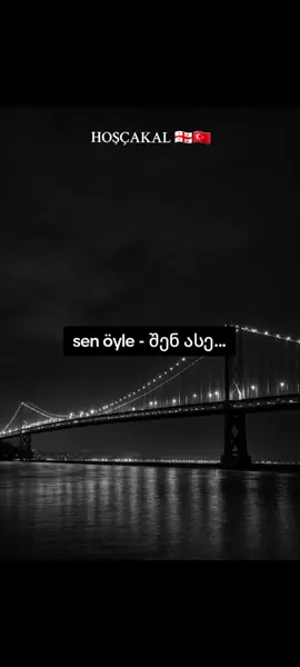 Hoşçakal-ტექსტი ქართულად🇬🇪🇹🇷 #hoşçakal #foryou #sözleri 