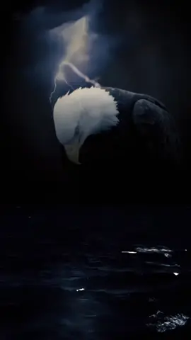 Assalamu'alaikum#fyp 