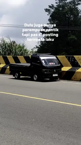 🤭✌#pickupmodifikasisimple#newcarrypickup#setory#fyp#beranda