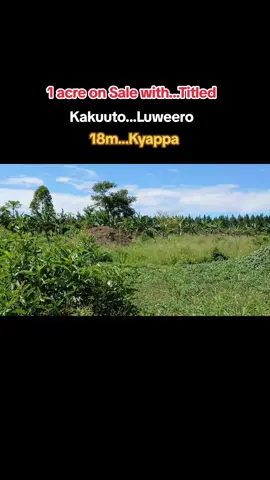 #newtiktoksupporters #fypviralシ #onthisday #tiktokuganda🇺🇬🇺🇬🇺🇬 #creatorsearchinsights 