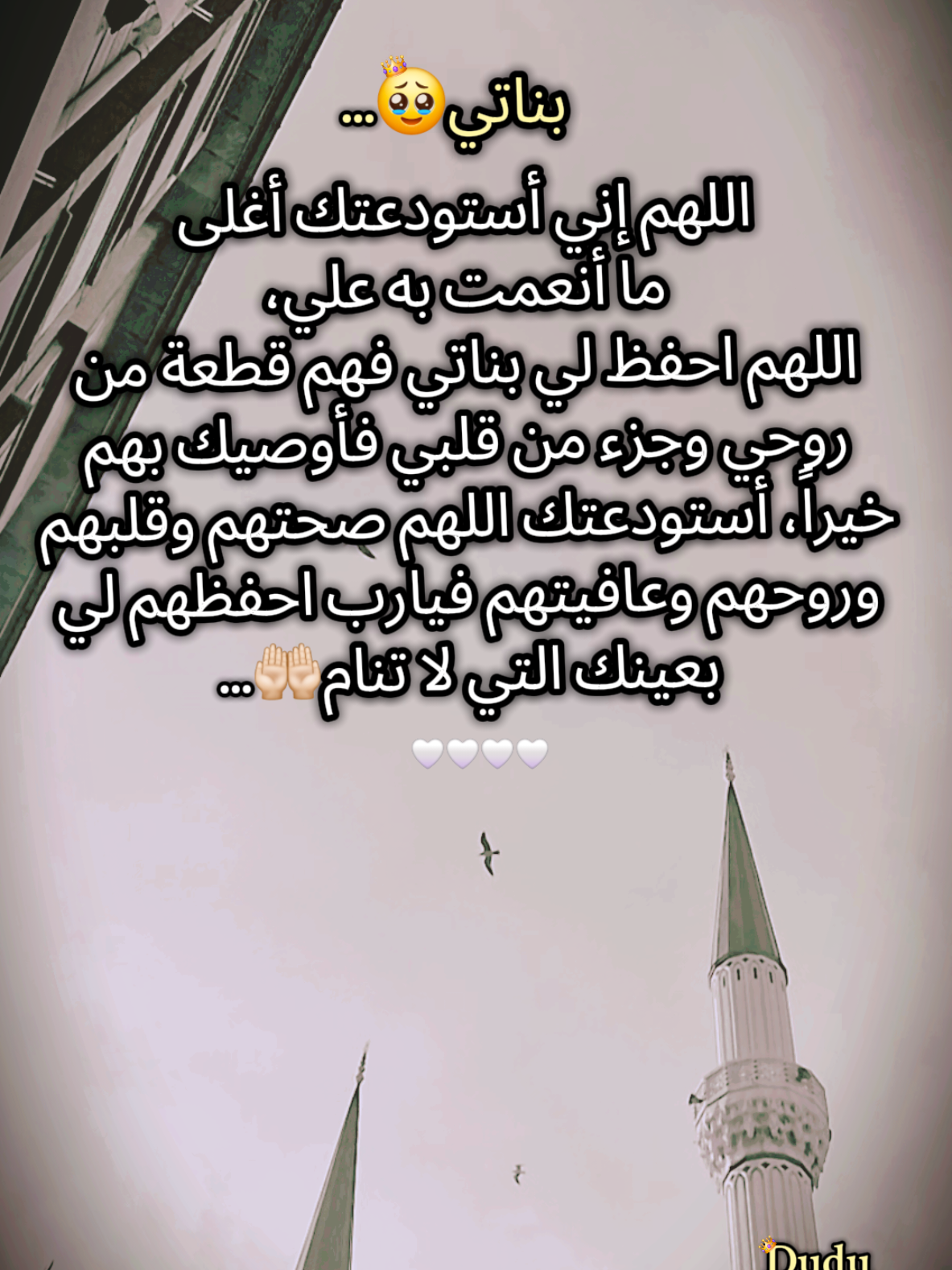 امين يارب🤲🏻#أم_حمودة👑 #أم_ماسة_سيما_عسل👑 #أم_محمد_وماسة_وسيما_وعسل🤍 #دودو_الفرفوشة👑 #بيبي_عسولة🎀🍯 