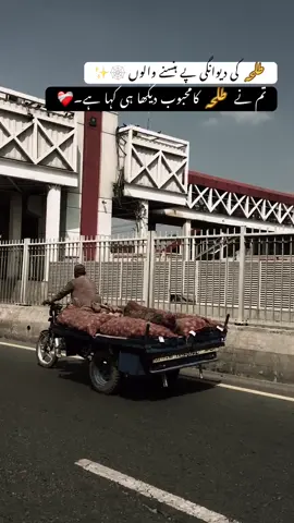 TALHA KA MAHBOOB—❤️‍🩹💆‍♀️ #f#fypu#urdupoetry1#100kviewsu#unfreezemyacountr#reels