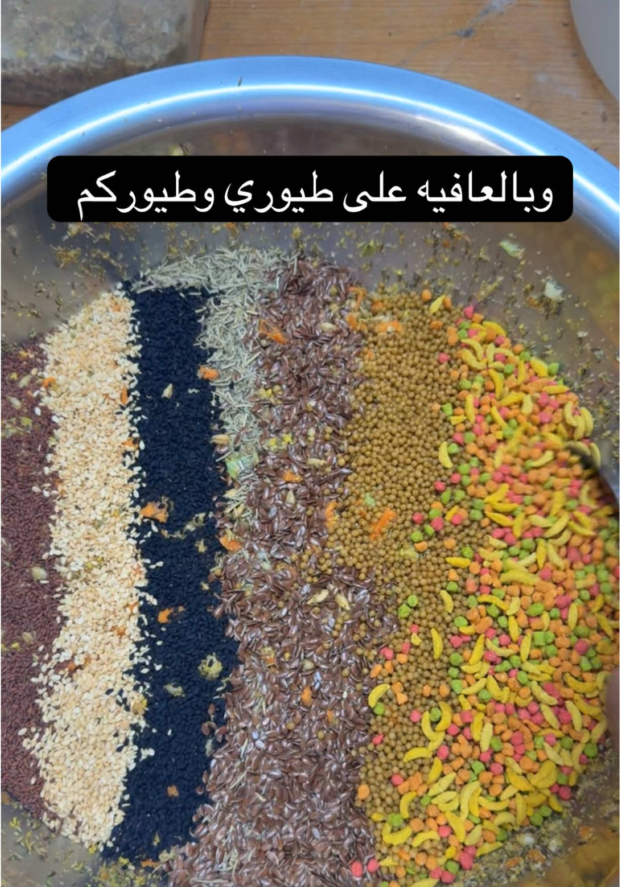 وجبة اليوم لطيور تنفع لجميع انواع الببغاوات #تربية_الطيور_الزينة #ترندات_تيك_توك #تربية_الطيور #اكسبلورexplore❥🕊 #ببغاوات 