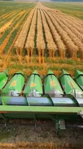 @mdsukkurali7634 #🤲🤲 