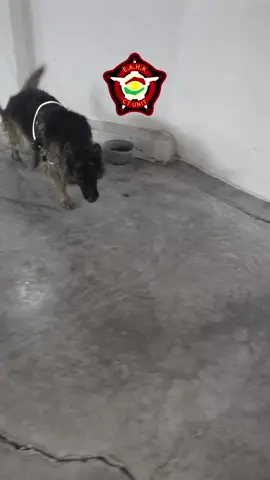 #بارزانی_ناسنامەی_گەلی_کورد💛 #هەولێر_سلێمانی_دەهۆک_ڕانیه_کەرکوک #hawler_slemani_dhok_karkuk_ #fyppppppppppppppppppppppp 