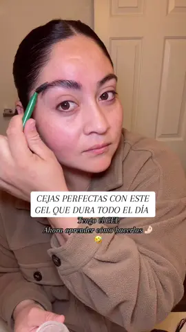 Cejas perfectas con gel de larga duración #gelcejas. Eyebrow Gel Wild Eyebrow Setti