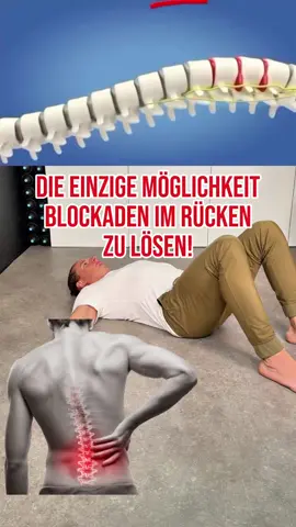 💥 KOMMENTIERE CORE 👇 und ich sende dir mein kostenloses 30-Minuten-Core-Training für zuhause – für mehr Stabilität, Kraft und Kontrolle in deiner Körpermitte! 💪 Viele suchen nach dem schnellen „Quick Fix“ gegen Rückenschmerzen, Verspannungen oder Blockaden – doch genau das führt oft zu noch mehr Problemen. Die wahre Lösung liegt in funktionellen Übungen, die deinen Körper langfristig stärken und stabilisieren. Stell dir vor, diese Schmerzen gar nicht erst entstehen zu lassen – mit gezielten Bewegungen, die deine Wirbelsäule schützen, deinen Rücken kräftigen und deine Haltung verbessern. 🙌 Genau dafür habe ich ein 25-Minuten-Mitmach-Video entwickelt: Ich zeige dir 5 meiner effektivsten Core-Übungen, die du ganz bequem von zuhause aus machen kannst – ohne Geräte, aber mit maximaler Wirkung! 👉 KOMMENTIERE CORE und starte jetzt in eine stabile, schmerzfreie und starke Körpermitte! 💥 #CoreTraining #Rumpfstabilität #FunktionellesTraining #Schmerzfrei #GesunderRücken #HaltungVerbessern #Beweglichkeit #HomeWorkout #Wirbelsäule #Stabilität #KraftausDerMitte