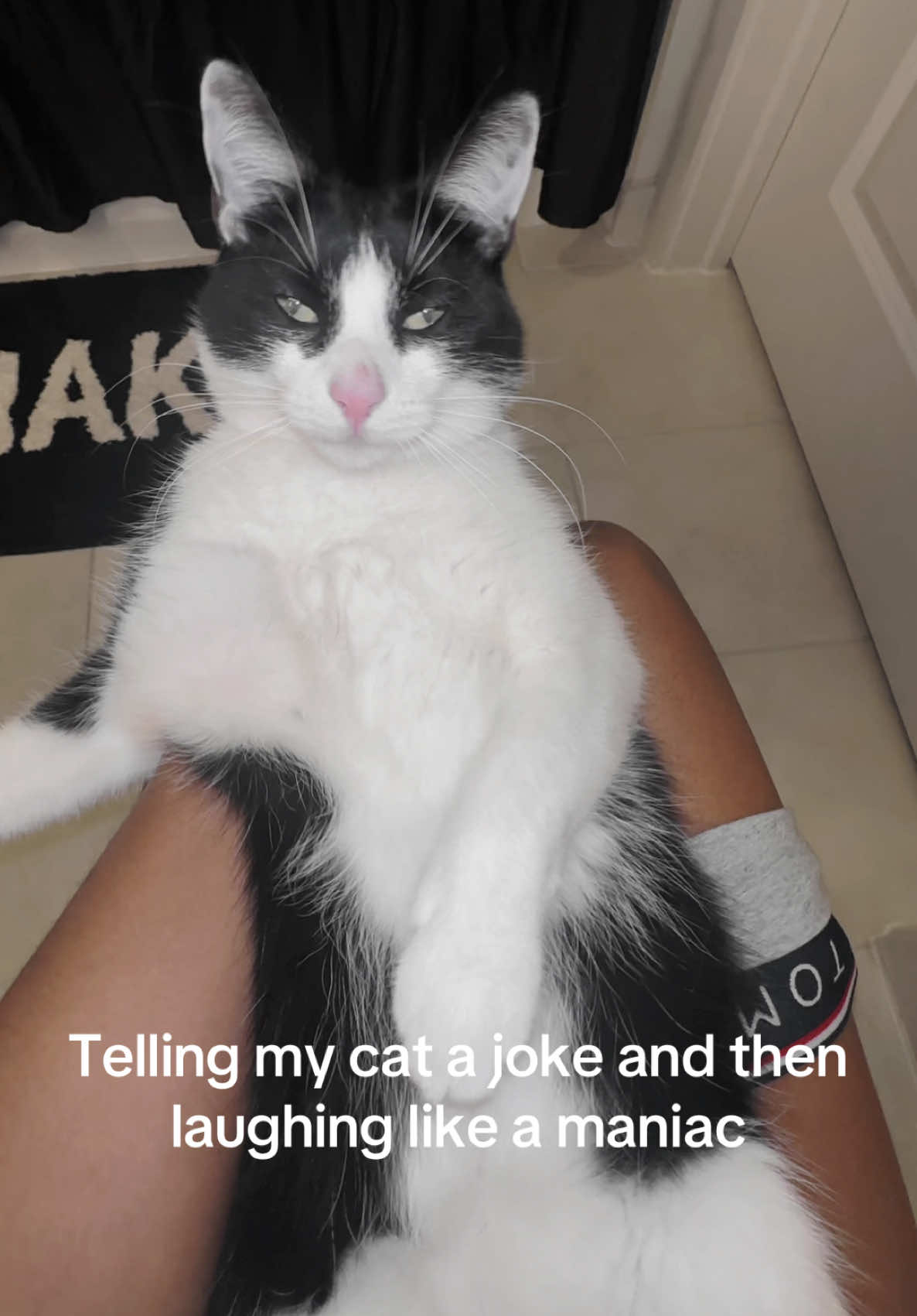 He wanted to come back and lay down so bad😂😂😂😂 #fyp #funnycats #cats #catjokes #melothetuxedo 