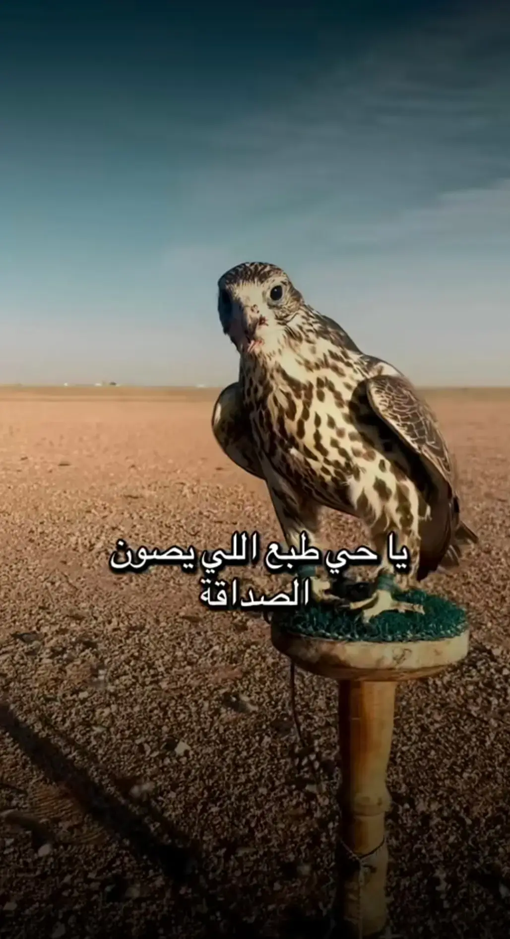 #سوريا_تركيا_العراق_السعودية_الكويت 