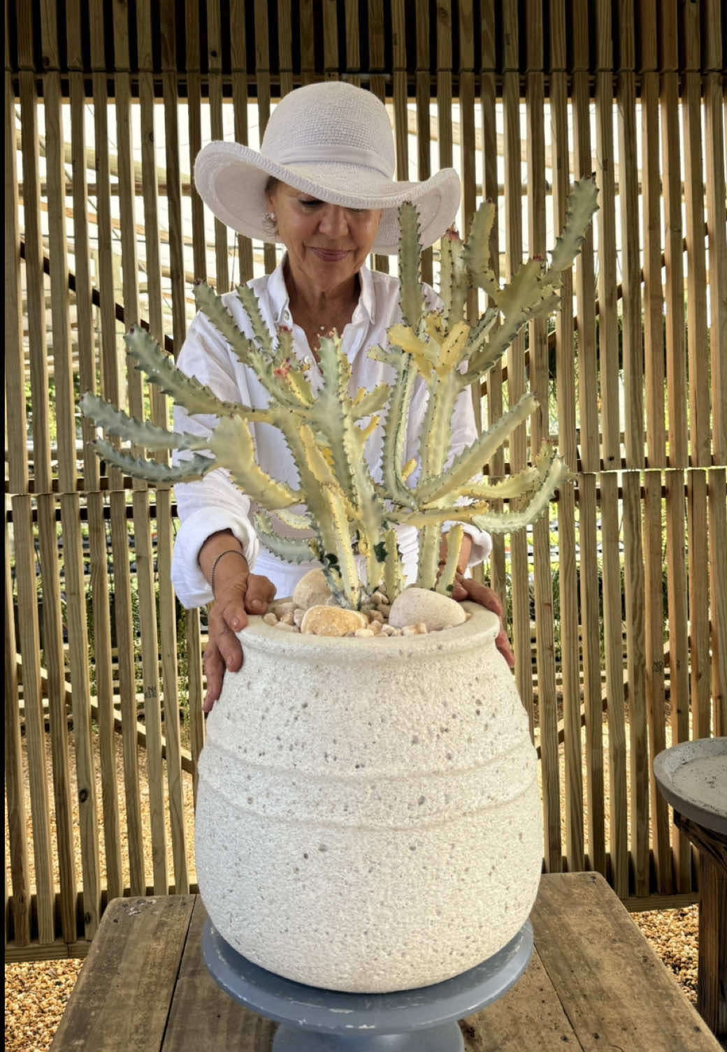 Ghost Cactus Arrangement 🌵 #cactus #cactusarrangement #ghostcactus 