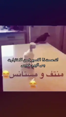شوضع الي ورا#حسو_الرسمي #اختبارات #المدرسه #الخميس #fyp 