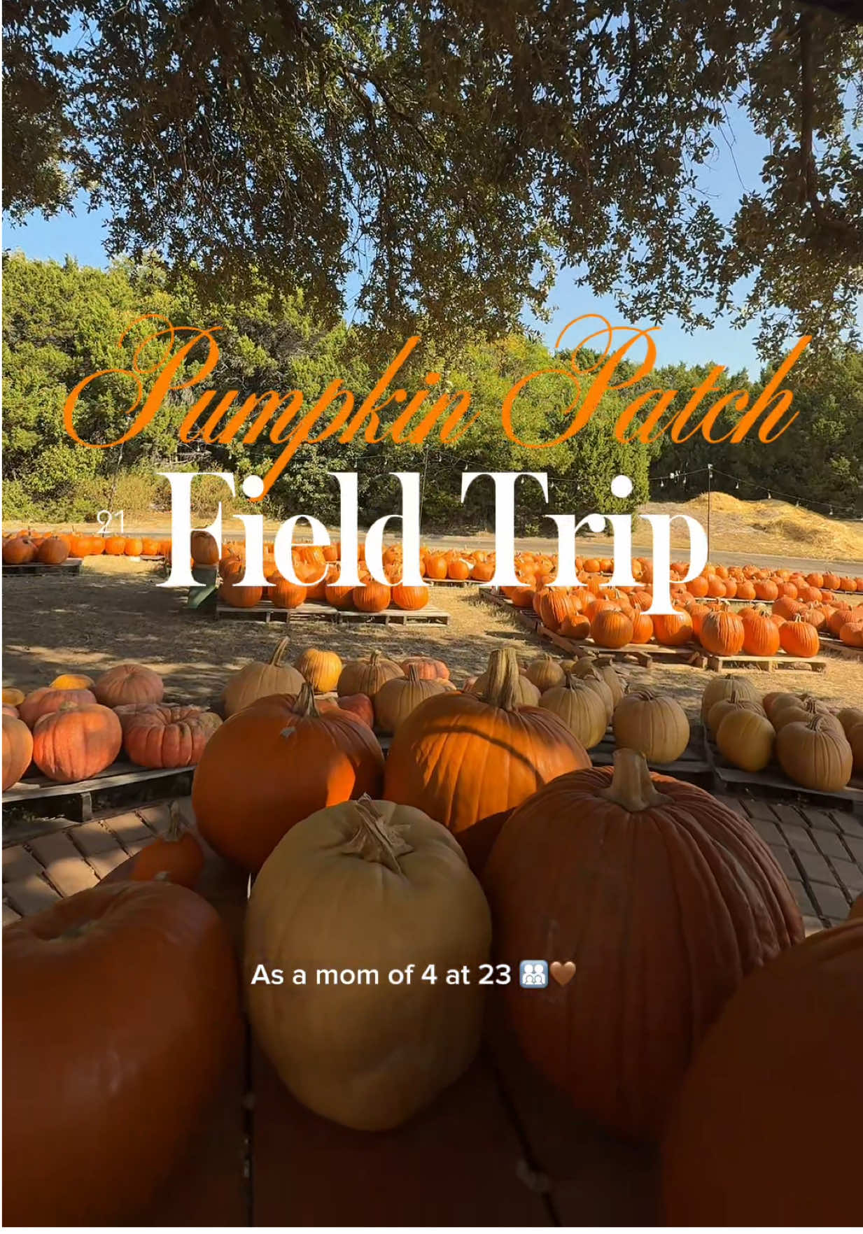 If you could stay til the very end that will help 100% thank you 🩷 #workingmom #xoxolilii #momof4 #teenparents #fieldtrip 