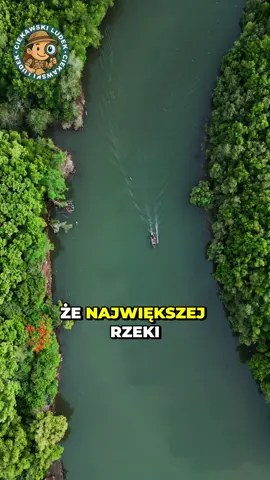 Największa rzeka świata nie ma mostów #ciekawostki #short #amazon #amazonka 
