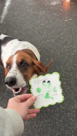 Our picassos love showing off their spooky crafts 👻 #dogtopia #dogtopialagrange #doggiedaycare #itsthemostexcitingdayever #dogcraft @Dogtopia 