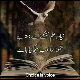 Silence is Worship | Islamic Quote of the Day