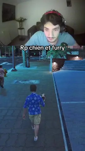 Fallait pas l’embrouiller #chien #furry #fyp #viral 