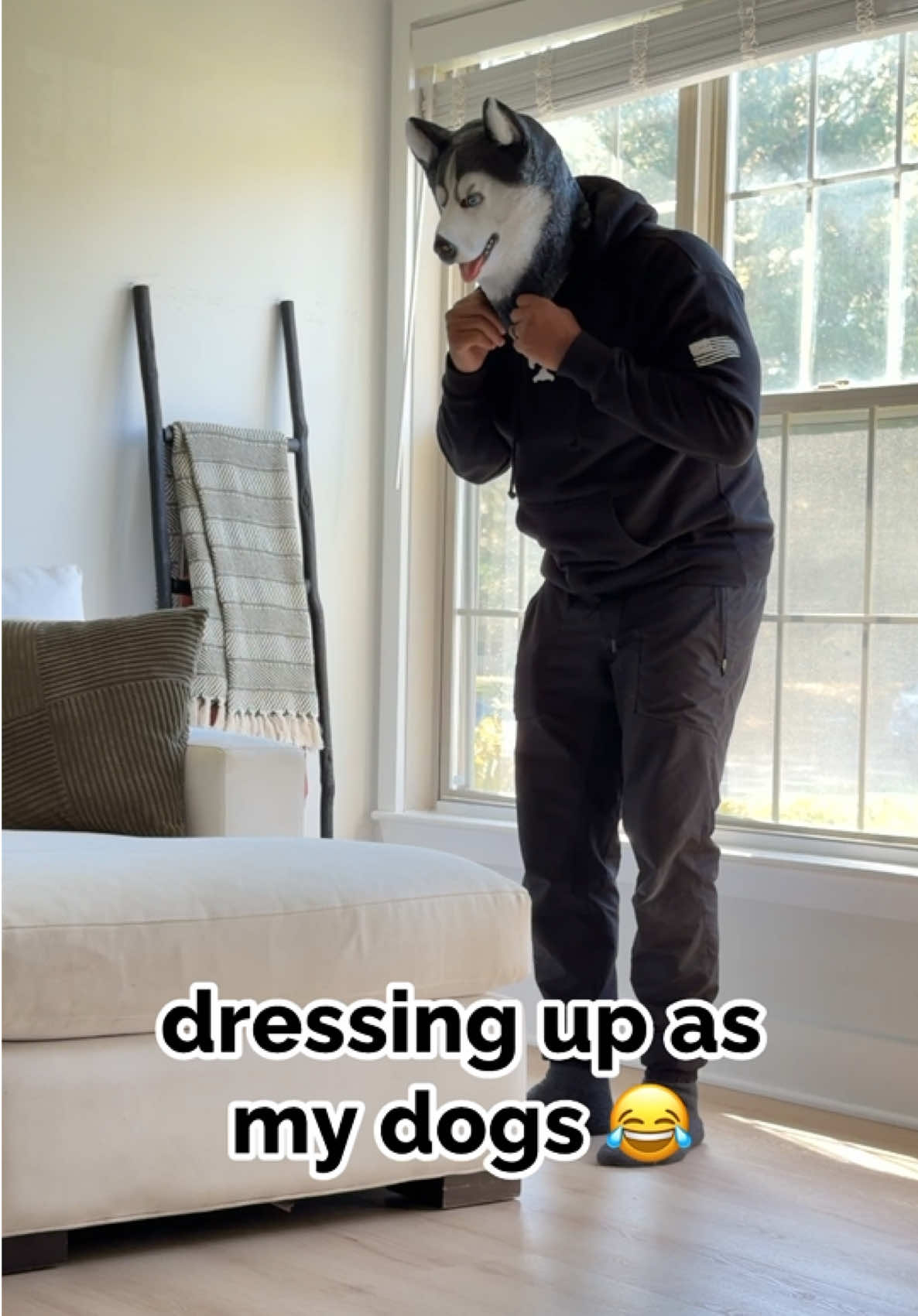 not sure if this costume will work this year 😂👻 #halloweenvibes #happyhalloween #funnydog 