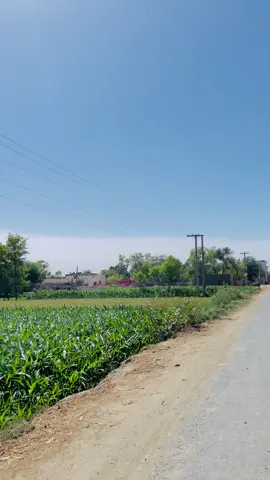 Village 82/EB #viralvideo #villagelife #pindmahol #ayravillagelife #sadvibes🥀 