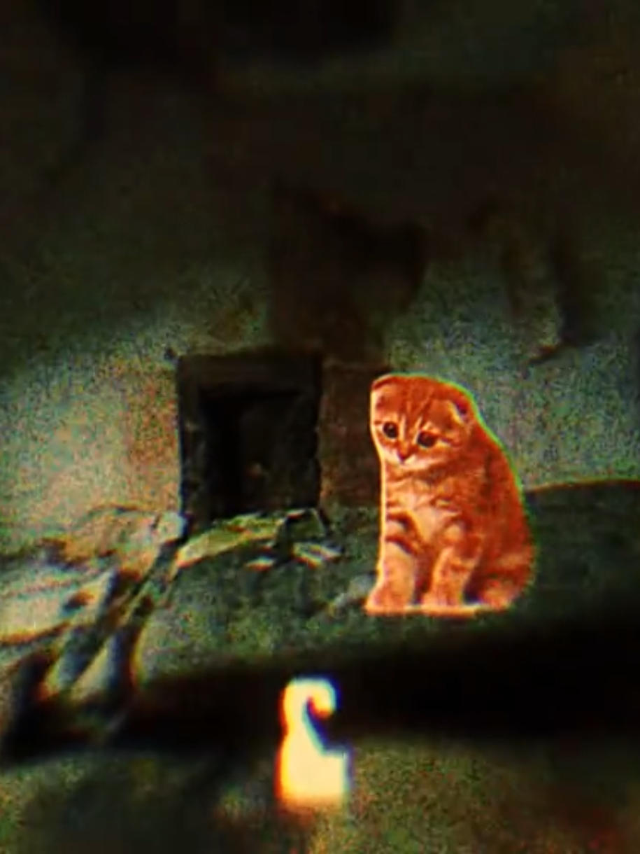 tiktok striked me 😭 so here's a reuploaded one without the 